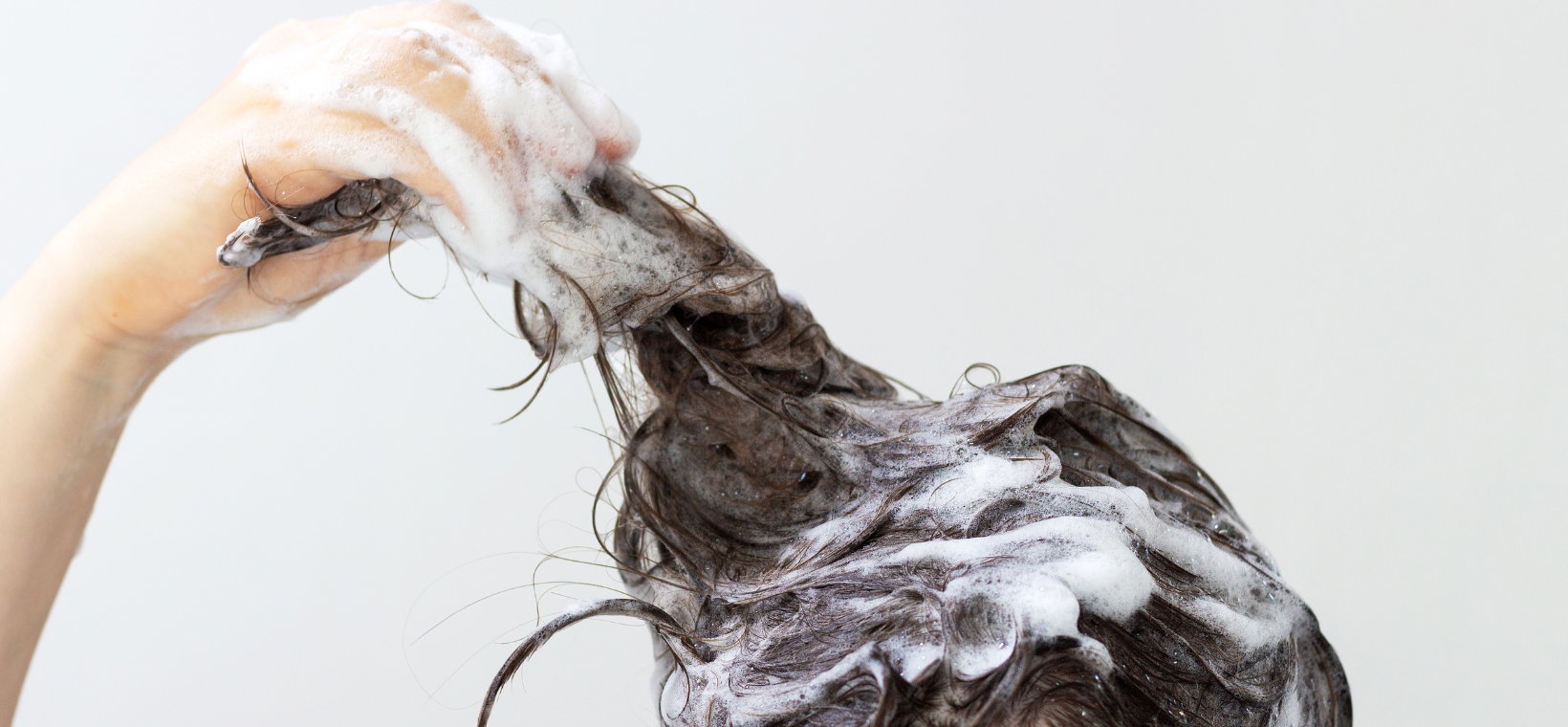 Visuel d'une personne faisant un shampoing cheveux regraissant vite bio Cattier qui mousse