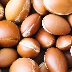 Visuel noix d'argan