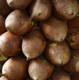 Visuel noix de babassu