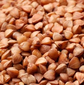 Visuel grains de blé