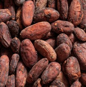 Visuel fève de cacao