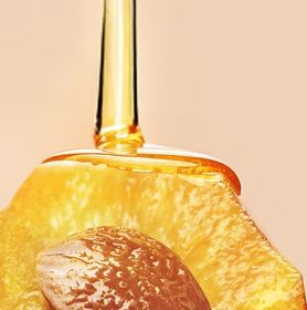 Visuel de mirabelles